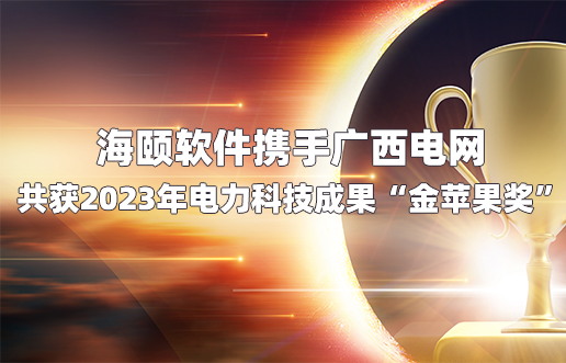 尊龙集团官网软件携手广西电网共获2023年电
